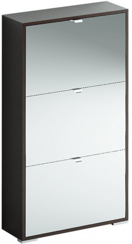 шкаф для обуви reggy 3 широкий зеркальный в Оренбурге