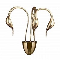 бра lightstar cigno collo 751632 в Оренбурге