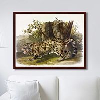 картина: jaguar, 1841г. в Оренбурге