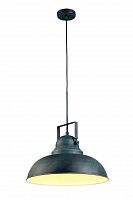 подвесной светильник arte lamp martin a5213sp-1bg в Оренбурге