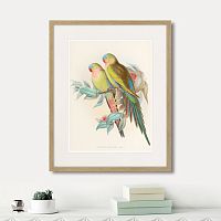 картина: love parrots, 1850г. в Оренбурге