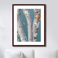 картина: trees on the galapagos islands, ecuador no1 в Оренбурге