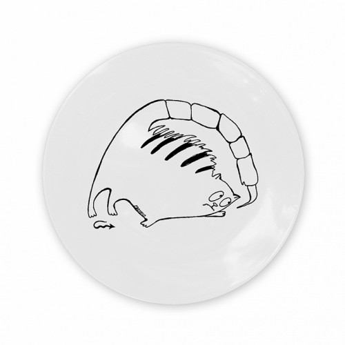 тарелка кот-скорпион в Оренбурге