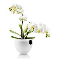 горшок для орхидеи orchid pot белый в Оренбурге