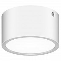 уличный светодиодный светильник lightstar zolla 380163 в Оренбурге