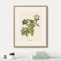 картина juicy fruit lithography №13, 1870 г., 42х52 см в Оренбурге