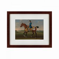 картина: bay racehorse with jockey up, 1730 в Оренбурге