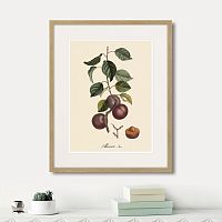 картина: juicy fruit lithography №6, 1870г. в Оренбурге