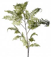 декор fl12056 (giant fern) в Оренбурге