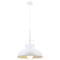 подвесной светильник arte lamp martin a5213sp-1wg в Оренбурге