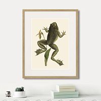 картина: big jumping frog, 1745г. в Оренбурге