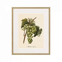 картина juicy fruit lithography №13-1, 1870 г., 42х52 см в Оренбурге