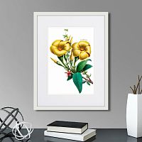 картина: caribian flora yellow allamanda, 1740г. в Оренбурге