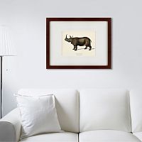 картина: rhinoceros ancienne gravure, 1849 в Оренбурге