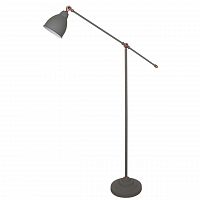 торшер arte lamp braccio a2054pn-1gy в Оренбурге