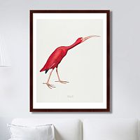 картина: scarlet ibis, 1827г. в Оренбурге