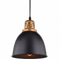 подвесной светильник arte lamp eurica a4245sp-1bk в Оренбурге