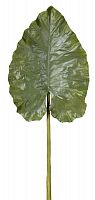 декор giant taro leaf в Оренбурге