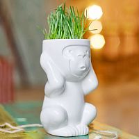 горшок для растений eco игнорик в Оренбурге