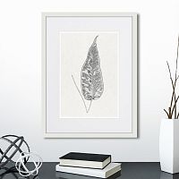 картина: the fern collection №5 в Оренбурге