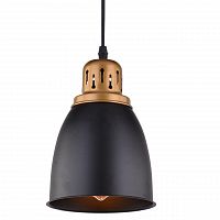 подвесной светильник arte lamp eurica a4248sp-1bk в Оренбурге