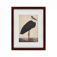 картина: black stork in a landscape, индия, 1780 в Оренбурге