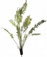 декор fern plant в Оренбурге