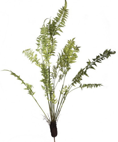 декор fern plant в Оренбурге