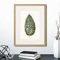 картина: single leaf of a plant №1, 1865г. в Оренбурге