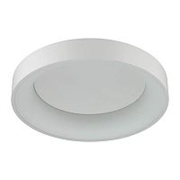 потолочный светодиодный светильник odeon light sole 4062/50cl в Оренбурге